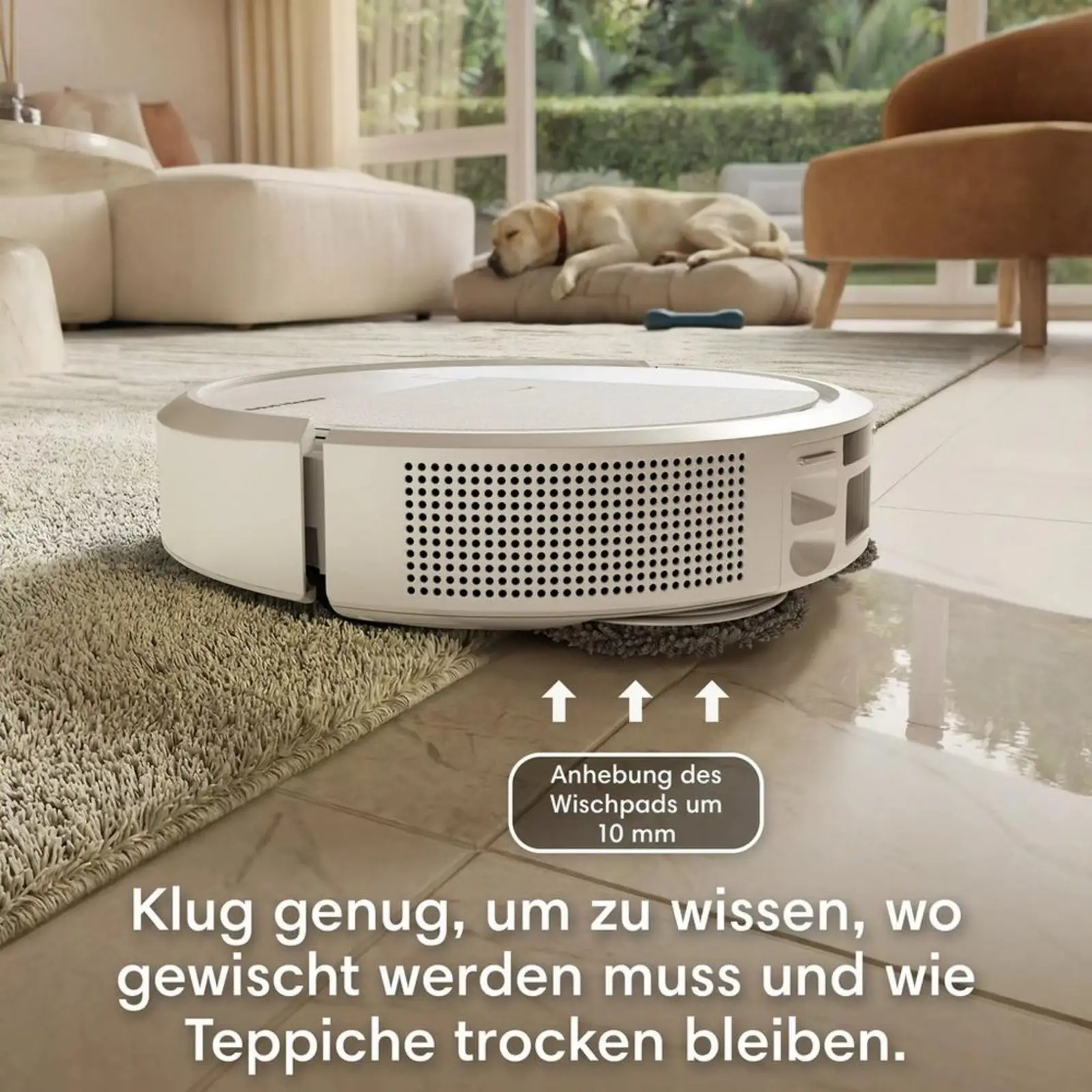 Robot lavapavimenti, robot aspirapolvere, Clean Base, iRobot bianco