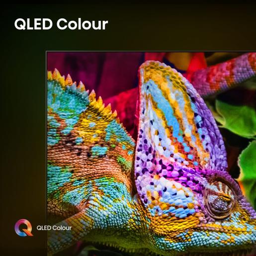 Fernseher 55 Zoll Hisense 4K MIni-LED Smart TV.
